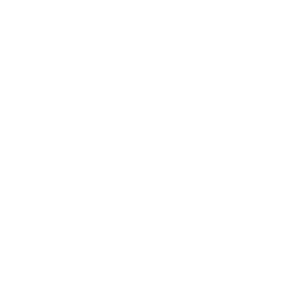Miami City Ballet