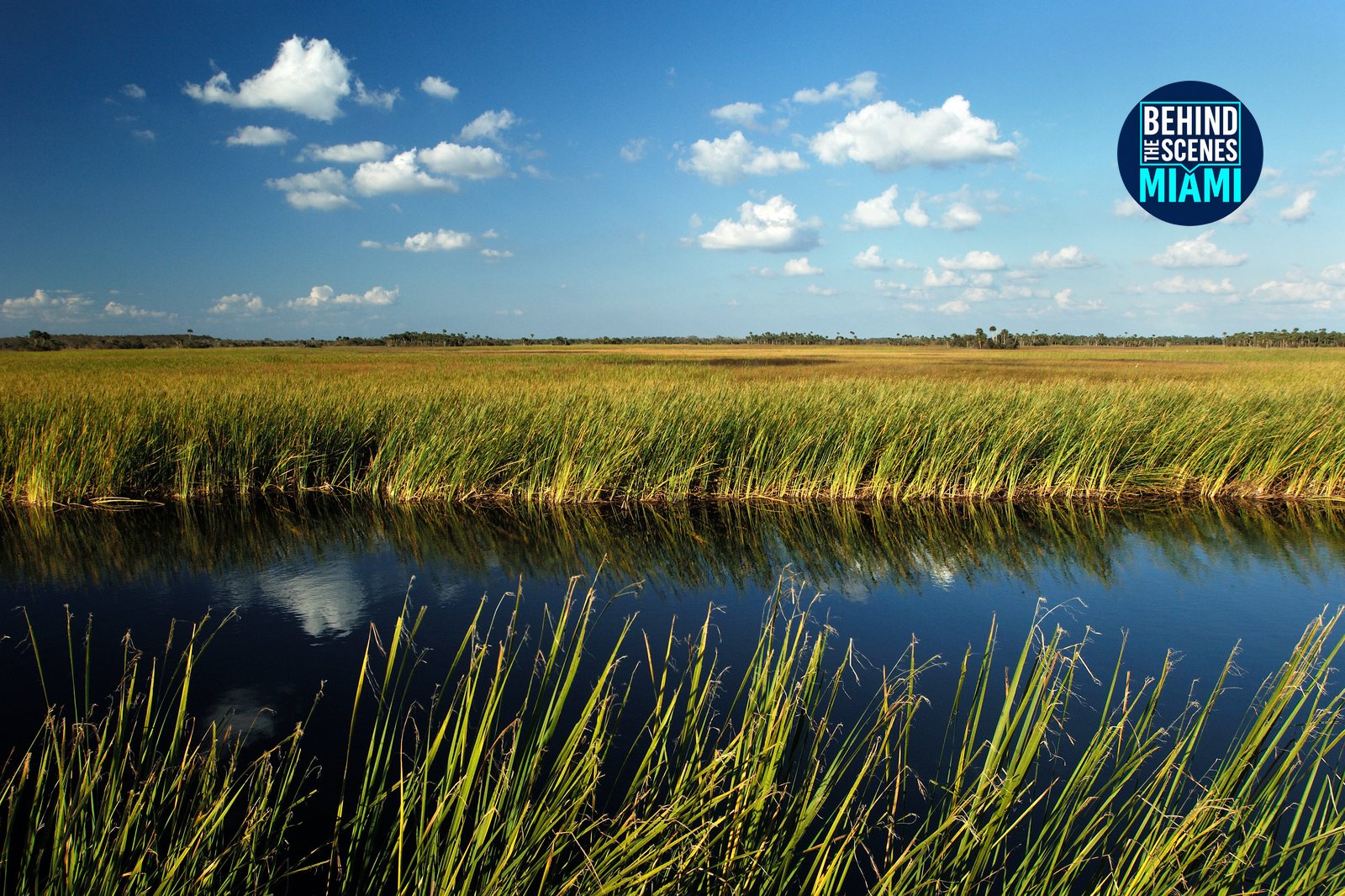 The Everglades