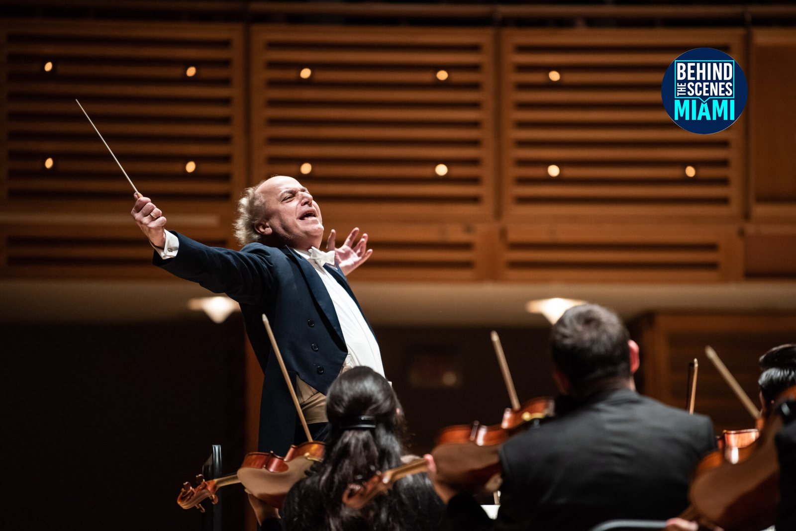 Miami Symphony Orchestra (MISO)